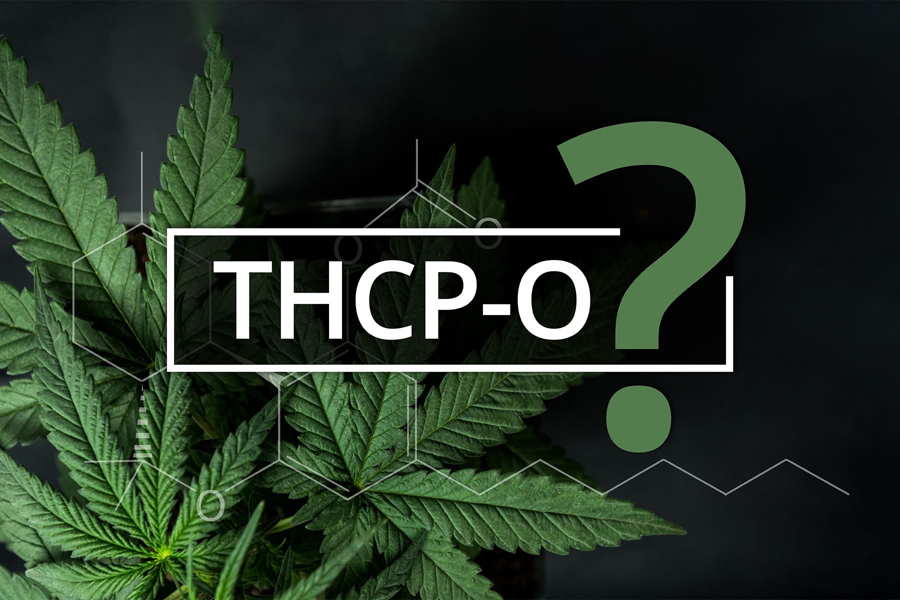 What Is THCP-O? Structure, Effects, And Risks - Vaping360