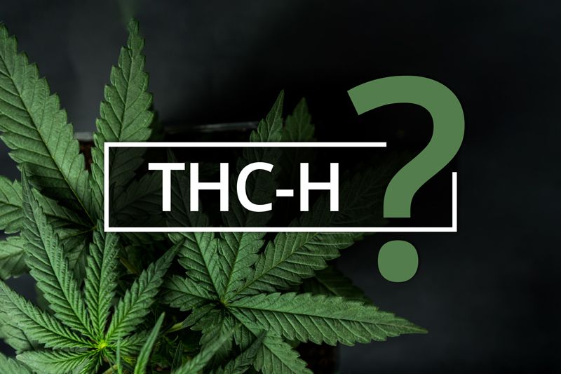 THC-H: What Is It and How Does It Compare to Other Cannab... - Vaping360